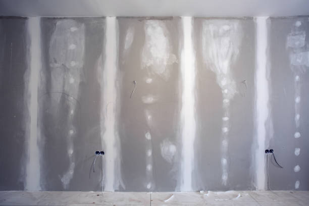 Mold Remediation for Rental Properties in Sanger, TX